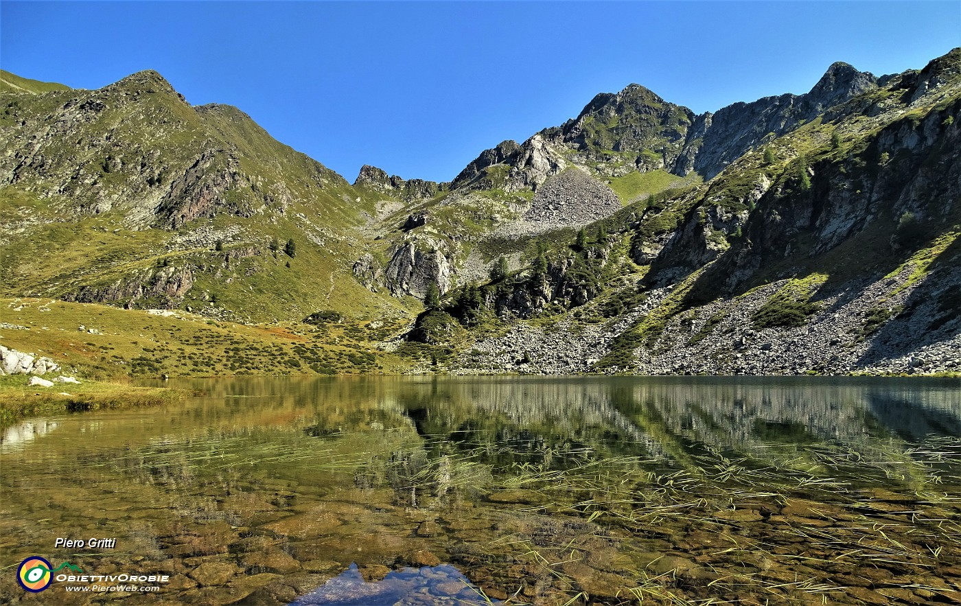 50 Piante acquatiche nel Lago Grande.JPG
